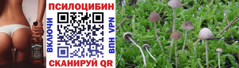 Псилоцибиновые грибы MAGIC MUSHROOMS  цена   Ясногорск 